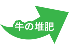 牛の堆肥